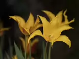 P4060003_DxO