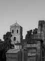 20251001-PA013284-001-Edit